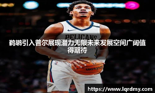 鹈鹕引入普尔展现潜力无限未来发展空间广阔值得期待